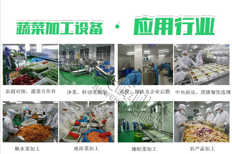 根莖類(lèi)脫水蔬菜加工設(shè)備